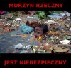 Murzyn rzeczny