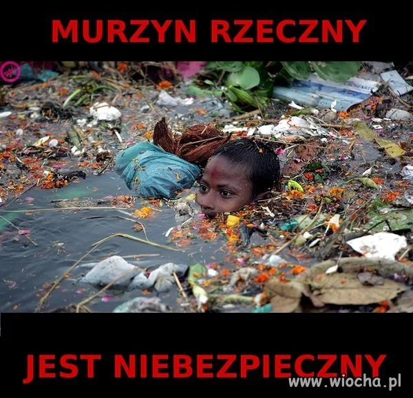 Murzyn rzeczny