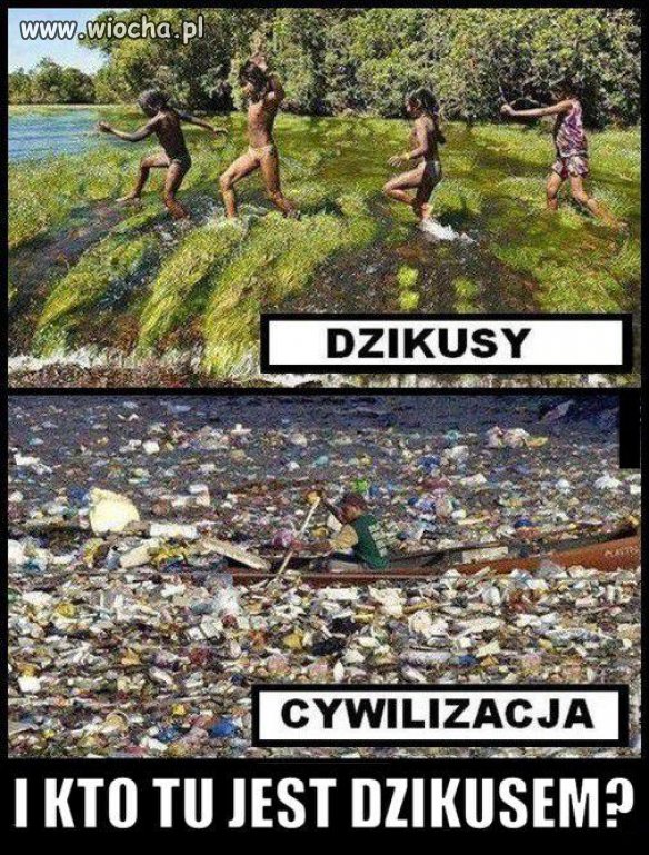 Dzikusy - pojęcie względne ...