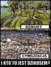 Dzikusy - pojęcie względne ...