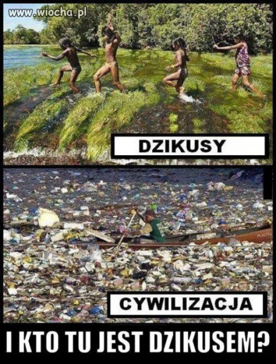 Dzikusy - pojęcie względne ...