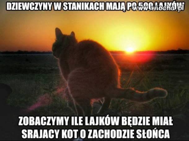 Zachód