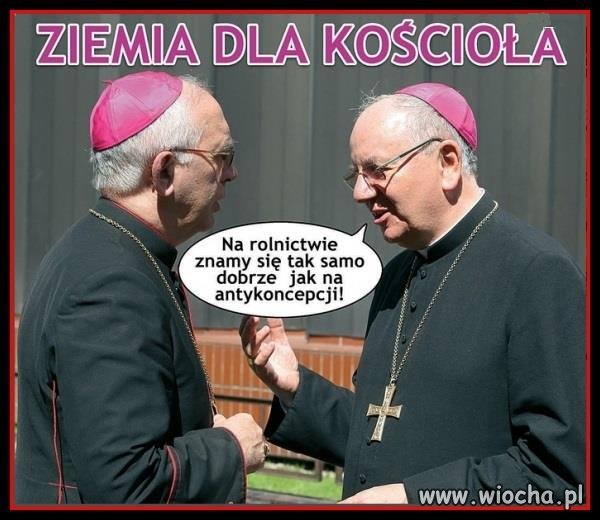 Nic dodać , 