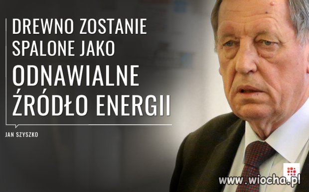 Geniusz z PIS-u ala Macierewicz