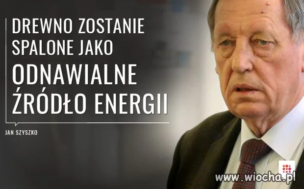 Geniusz z PIS-u ala Macierewicz