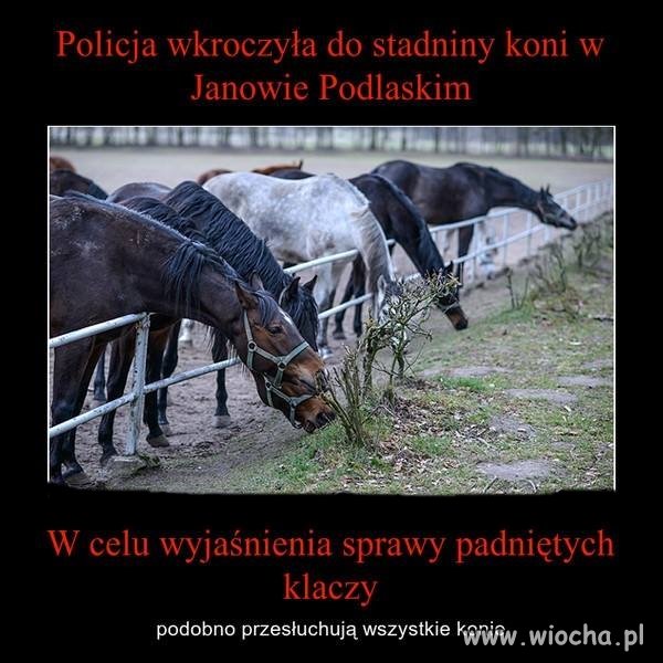 No jak przesłuchiwanych pociągną batem