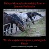 No jak przesłuchiwanych pociągną batem