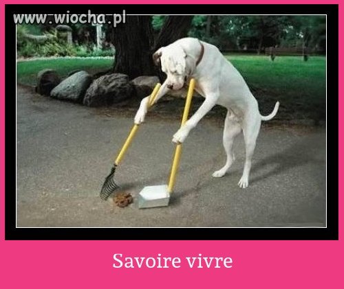 Savoire vivre