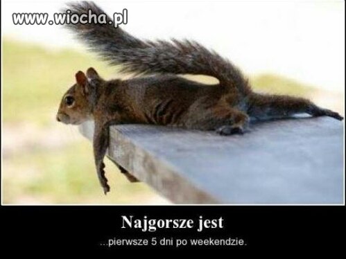 Hasło na dziś 