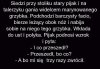 Grzybek