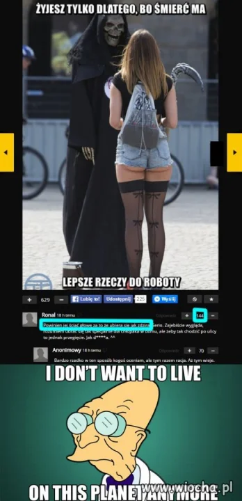 Ciapacka mentalność 