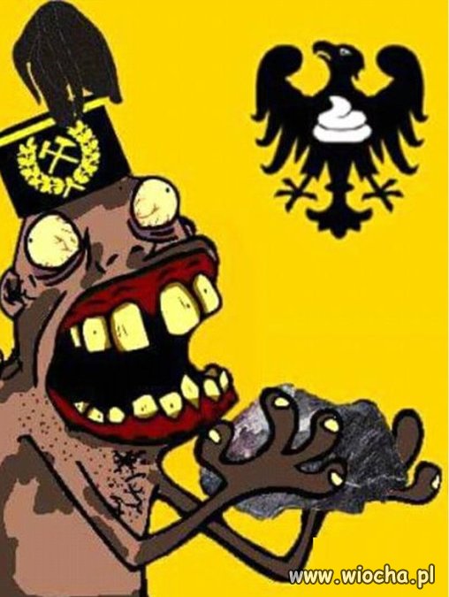 Ruch Autonomii Śląska.