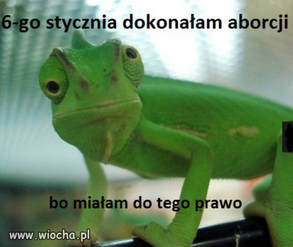 Aborcja mózgu.