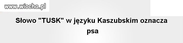 UE chyba
