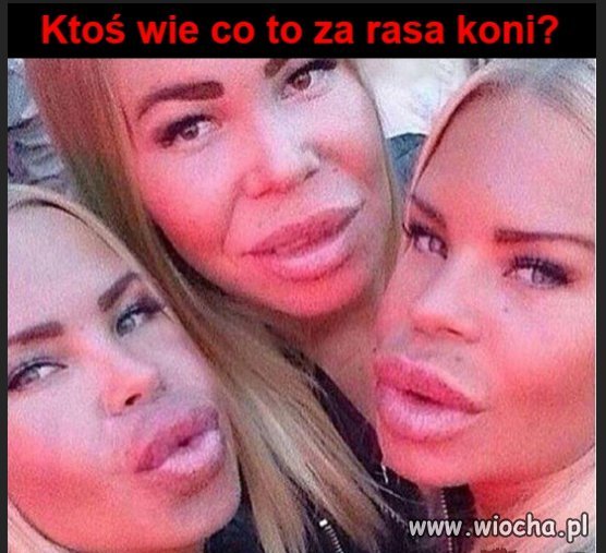 Jaka rasa