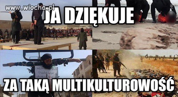 My Polacy dziczy