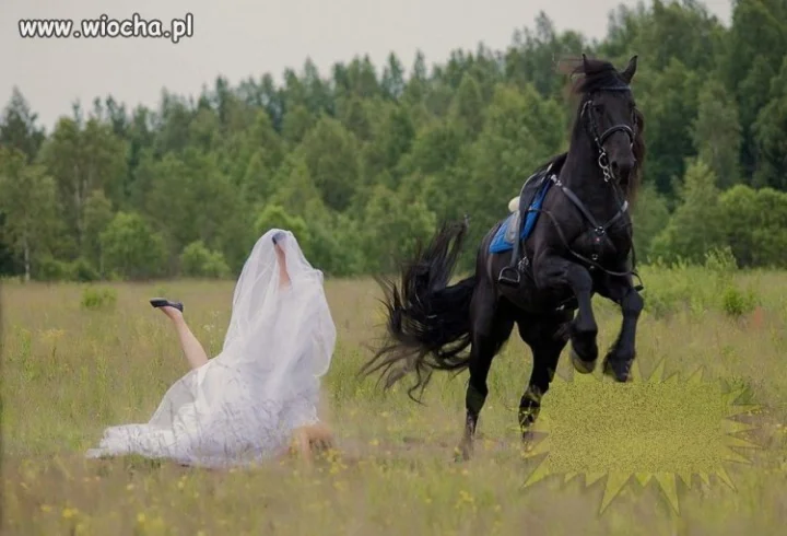 Uchwycić dobry moment