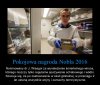 Antidotum dla wszystkich migrantów.