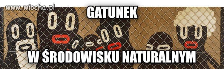 Różni ludzie różne potrzeby