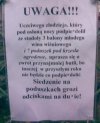 Ogłoszenie 
