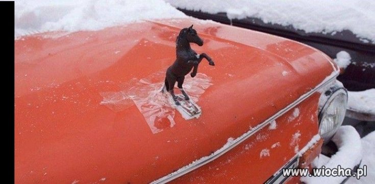 Prawie jak Ferrari 