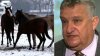 W Janowie Podlaskim padła trzecia klacz