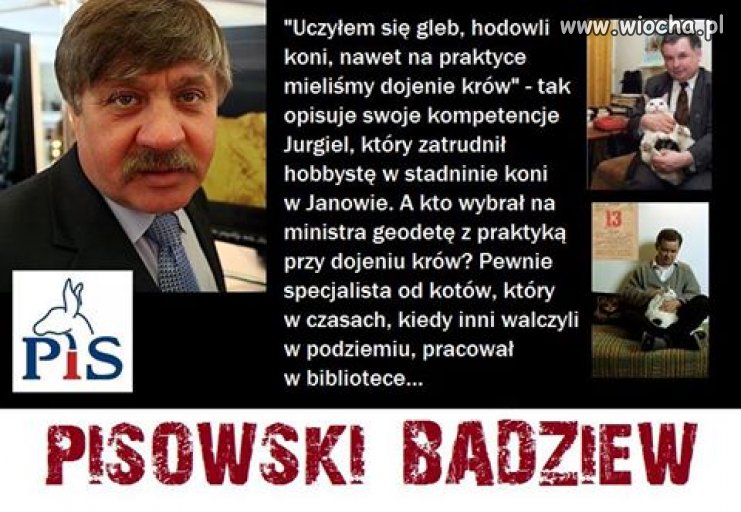 Tylko koni, tylko koni, tylko koni...