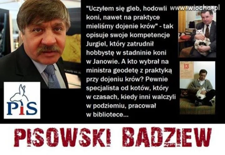 Tylko koni, tylko koni, tylko koni...