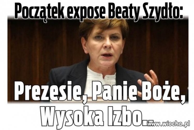 Panie prezesie to 
