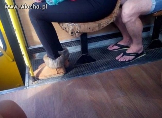 Tymczasem w autobusie