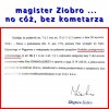A magister 