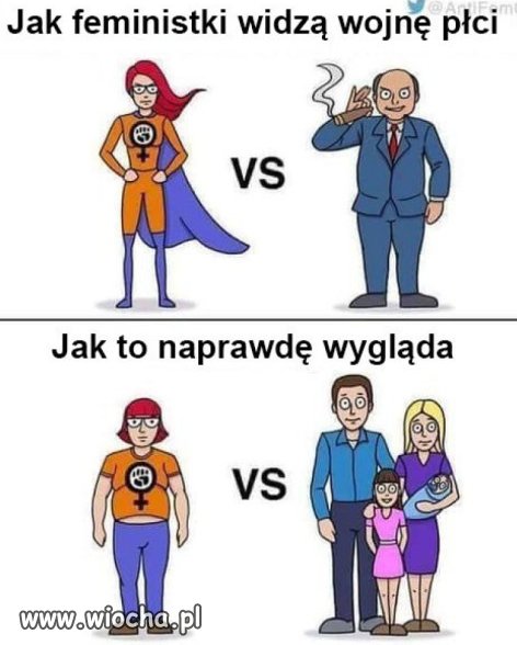 Feministki w realu.