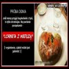 Test dla uchodźcy  