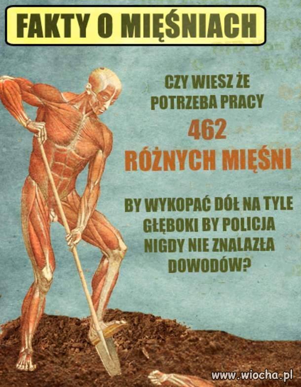Pamiętaj 