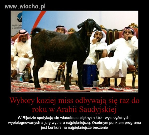 Marzenie Araba?...noc z miss