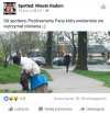 Tymczasem w Radomiu... 