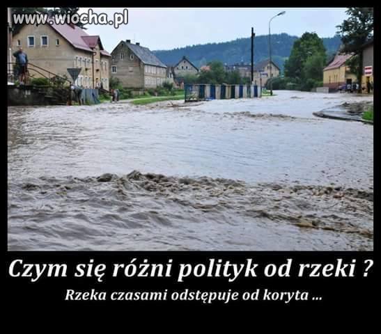 Polityk nigdy