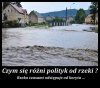 Polityk nigdy