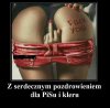Miłego dnia 