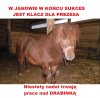 Już nieługo do nabycia.