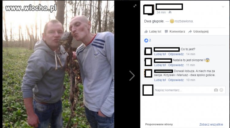 Zabawa na maxa 
