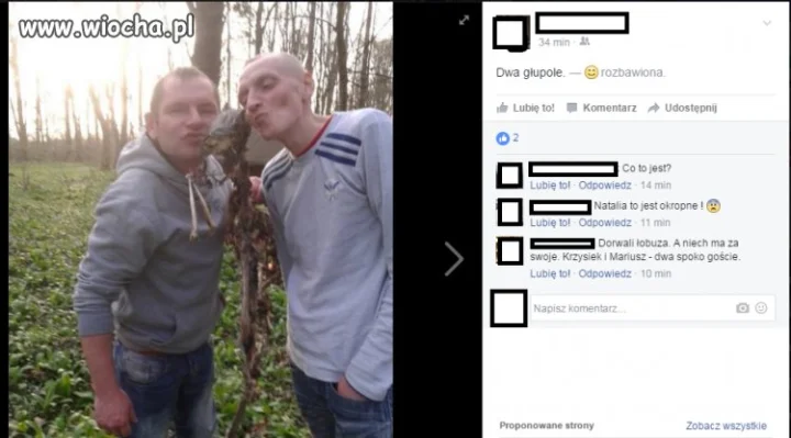 Zabawa na maxa 