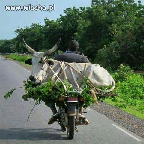 Transport 