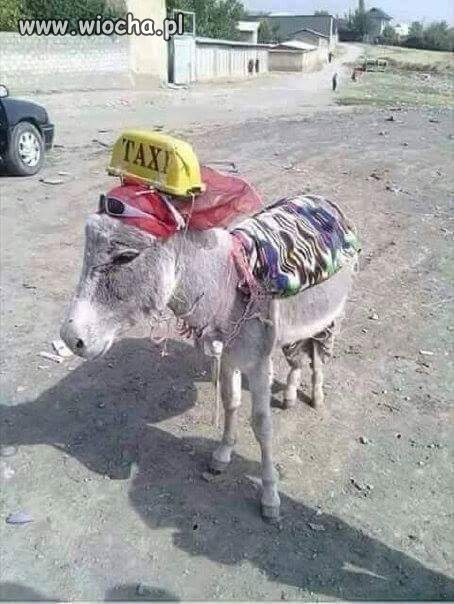 Taxi 