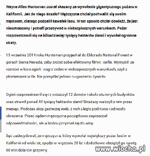 To sobie selfie zrobił