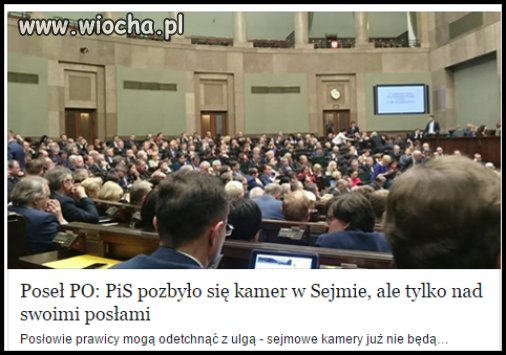 Mogą głosować na cztery ręce 