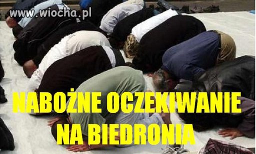 Już nie mogą się doczekać.
