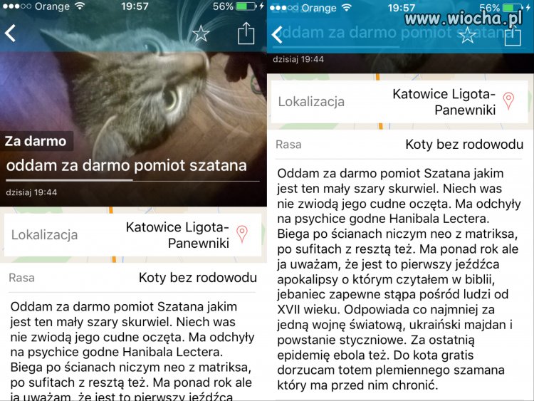 Podmiot szatana dostępny