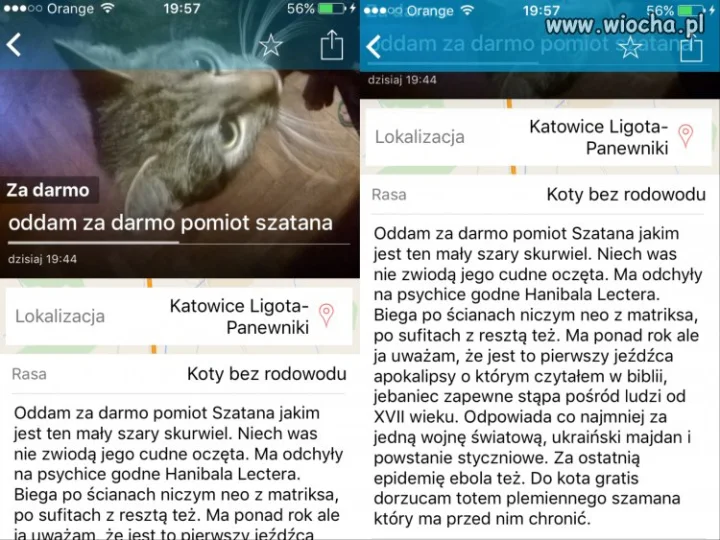Podmiot szatana dostępny