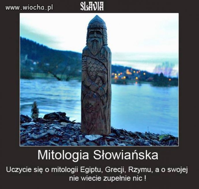 Nic dodać, 